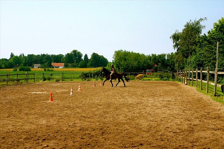 Ridelejr oppe hos Mia lykke nielsen :D billede 128