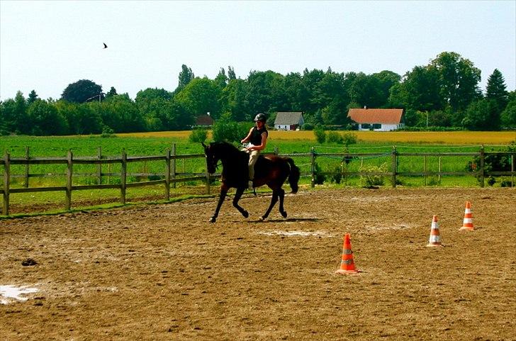 Ridelejr oppe hos Mia lykke nielsen :D billede 129