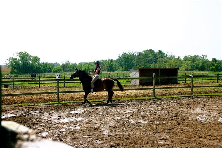 Ridelejr oppe hos Mia lykke nielsen :D billede 131