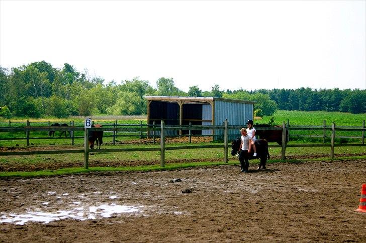 Ridelejr oppe hos Mia lykke nielsen :D billede 132