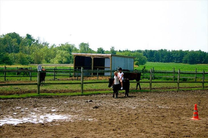 Ridelejr oppe hos Mia lykke nielsen :D billede 133