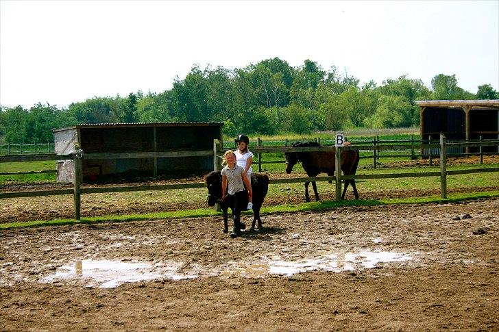Ridelejr oppe hos Mia lykke nielsen :D billede 135