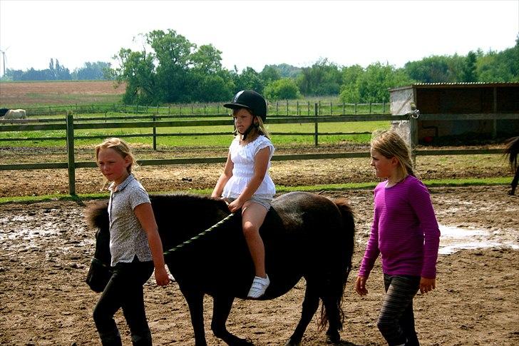 Ridelejr oppe hos Mia lykke nielsen :D billede 142