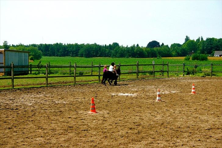 Ridelejr oppe hos Mia lykke nielsen :D billede 144