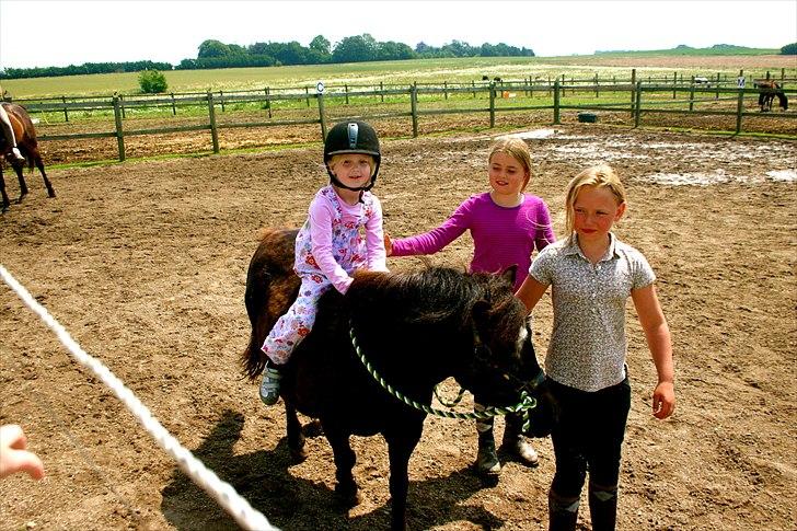 Ridelejr oppe hos Mia lykke nielsen :D billede 150