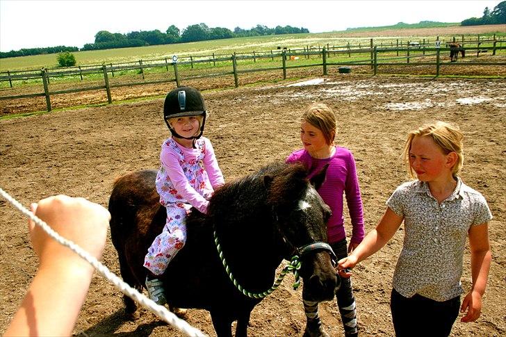 Ridelejr oppe hos Mia lykke nielsen :D billede 151