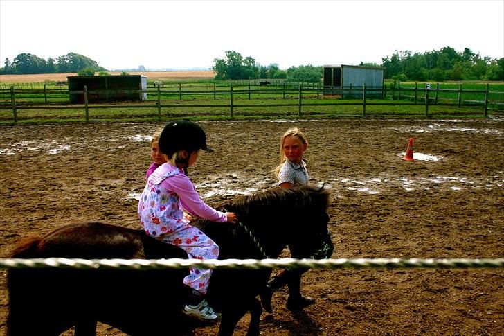Ridelejr oppe hos Mia lykke nielsen :D billede 154