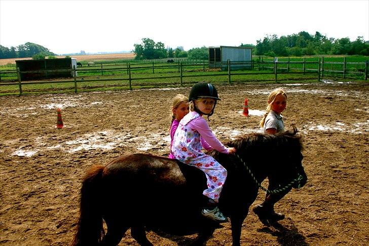Ridelejr oppe hos Mia lykke nielsen :D billede 155