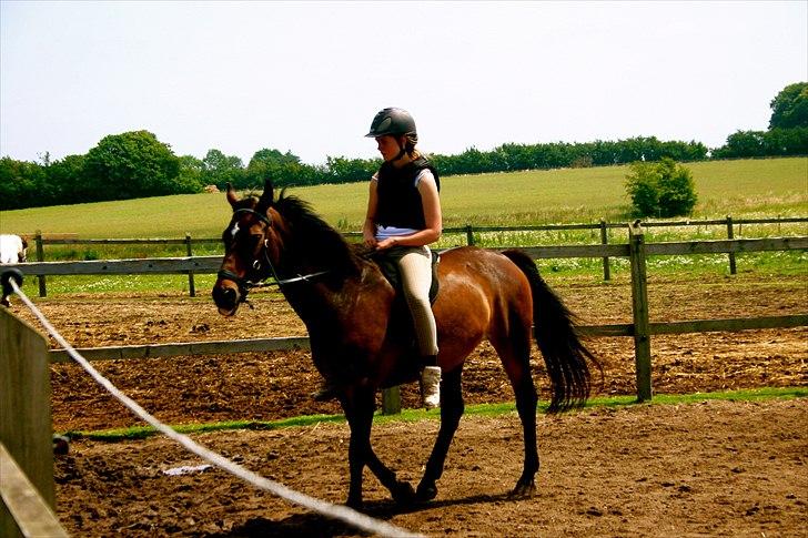 Ridelejr oppe hos Mia lykke nielsen :D billede 156