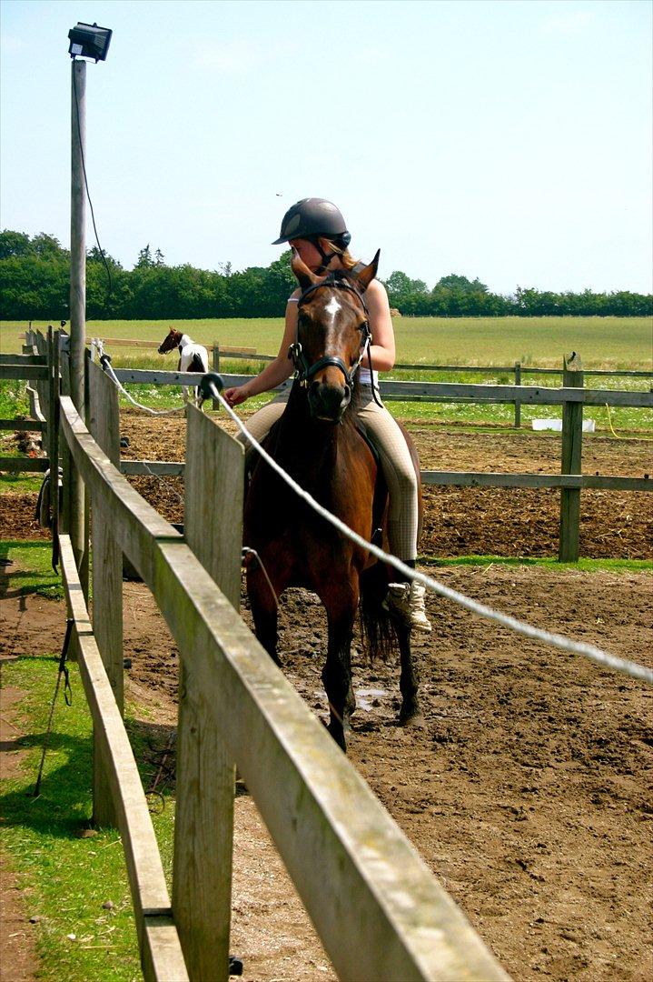 Ridelejr oppe hos Mia lykke nielsen :D billede 157