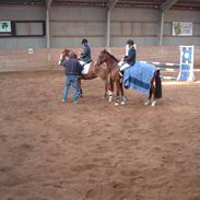 Mig & mine 2 søstre