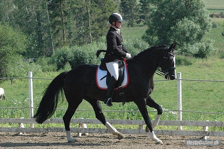 Alt muligt billede 23