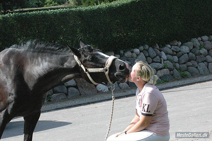 Alt muligt billede 25