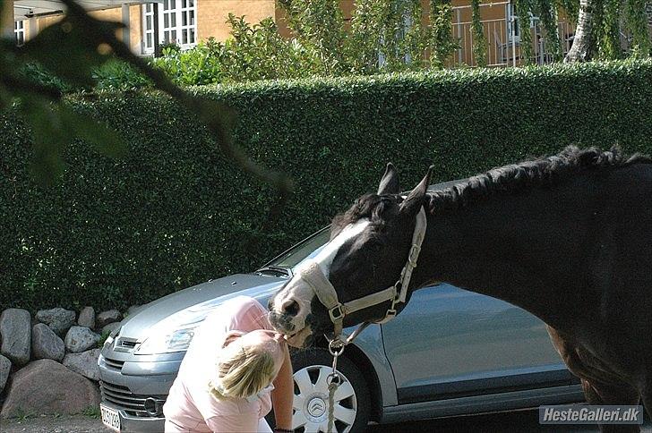 Alt muligt billede 26