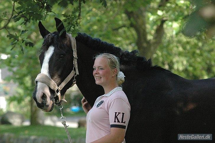 Alt muligt billede 27