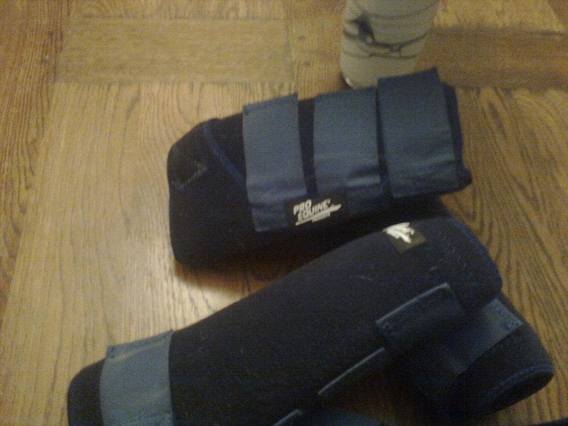 Vild kamille billede 5