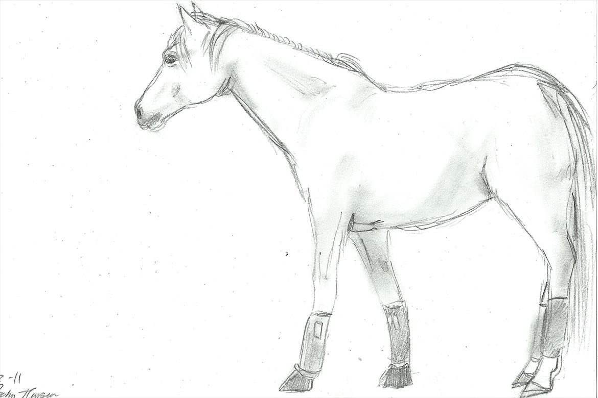 Tegninger :D   - Tegning til - Ditte der elsker Lærke - Soffen's Bitten - ©DBR . :) 
Tegnet lørdag d. 16. juli 2011
 billede 298