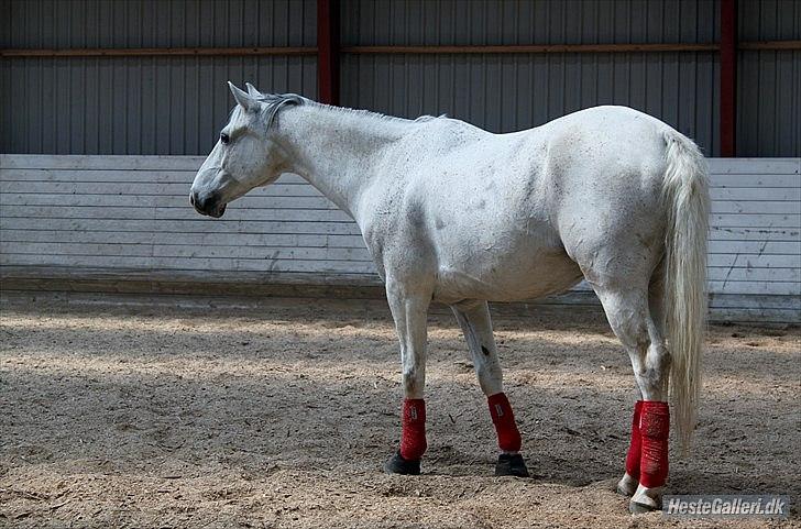 Tegninger :D   - Original billede :) - Apolle  billede 299