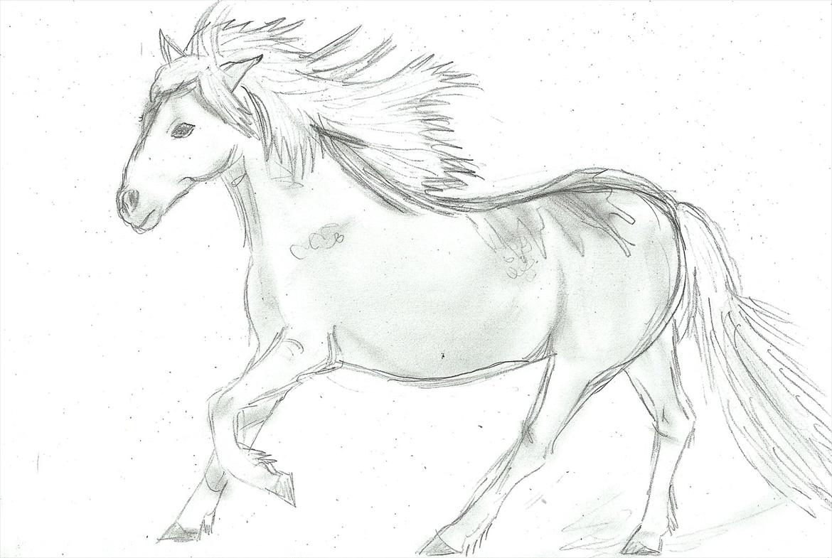 Tegninger :D   - Tegning til Frederikke Felding. :)
Tegnet lørdag d. 16. juli 2011 
 billede 294