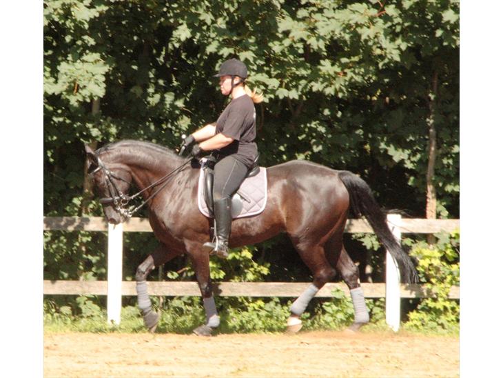 {{currentPhoto.altText}} billede {{currentPhoto.number}}