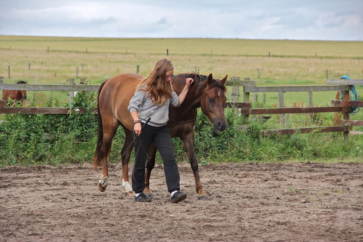 Pyt i Paradis  billede 2