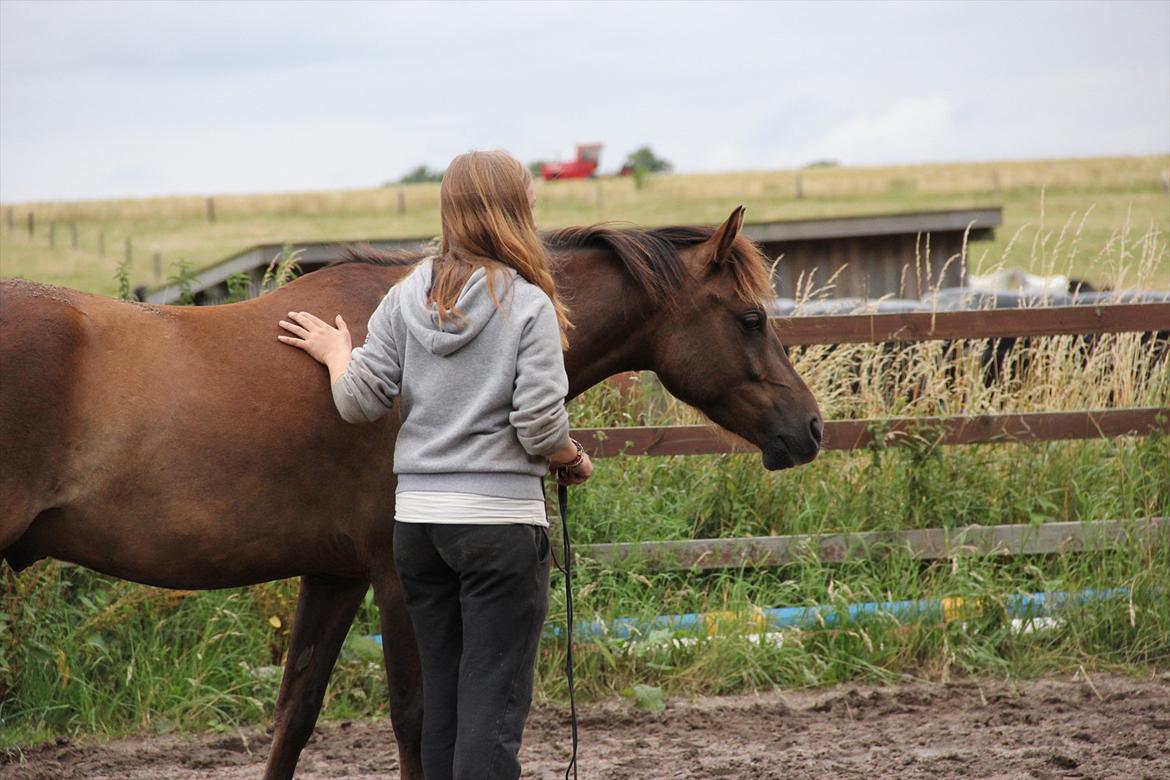 Pyt i Paradis  billede 3