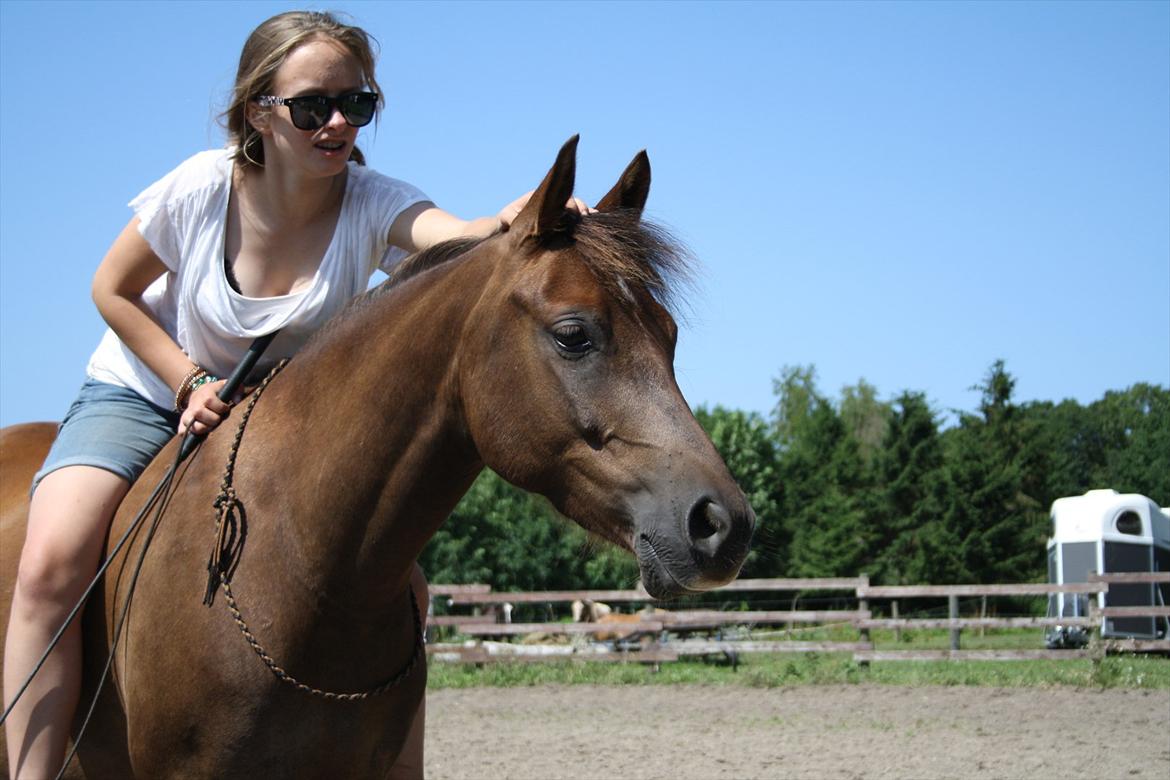 Pyt i Paradis  billede 4