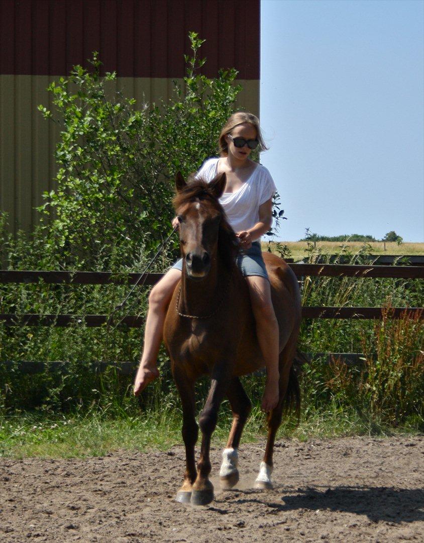 Pyt i Paradis  billede 5