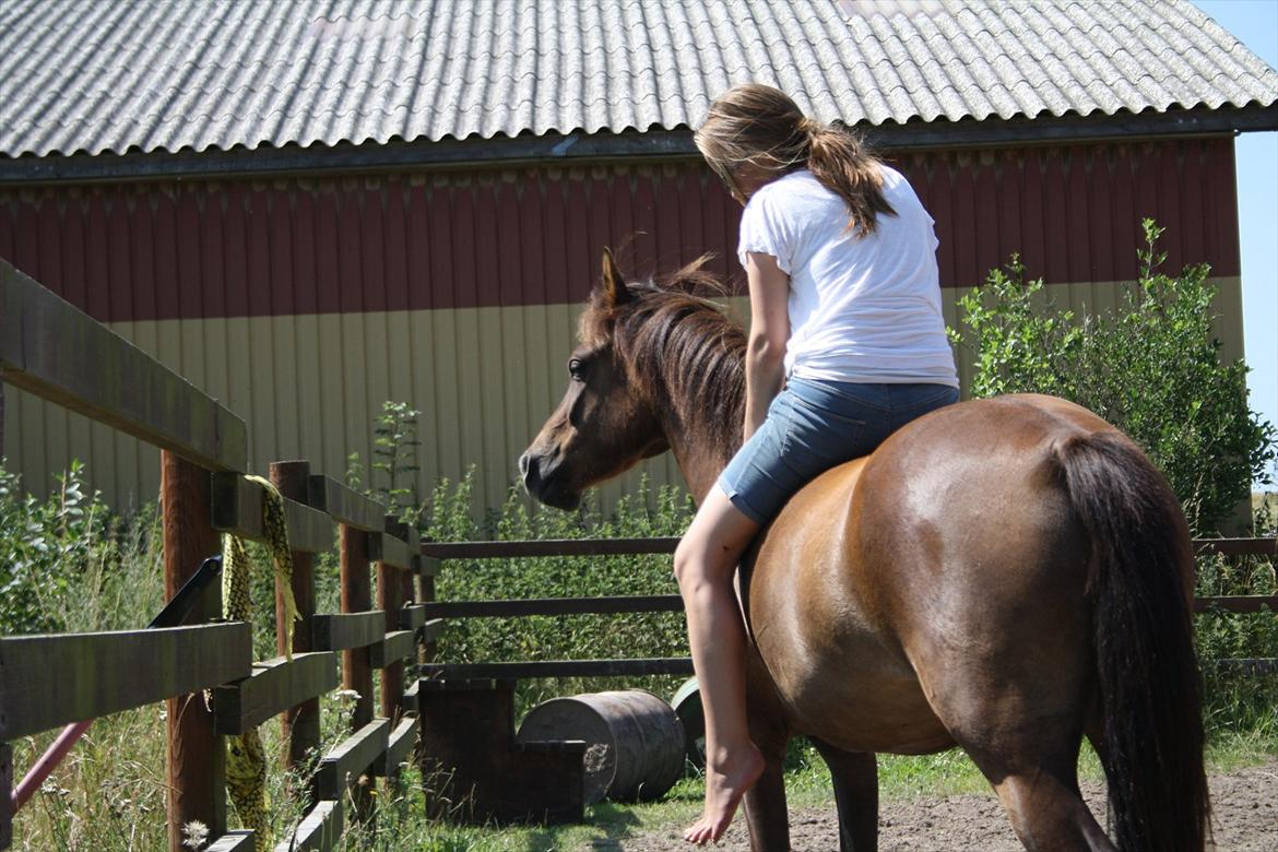 Pyt i Paradis  billede 6