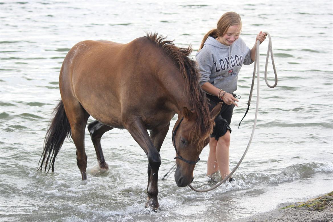 Pyt i Paradis  billede 7