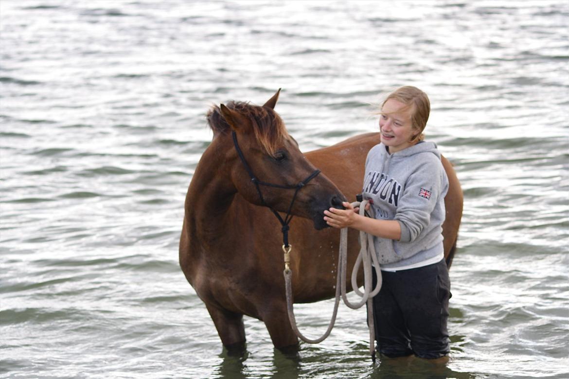 Pyt i Paradis  billede 8