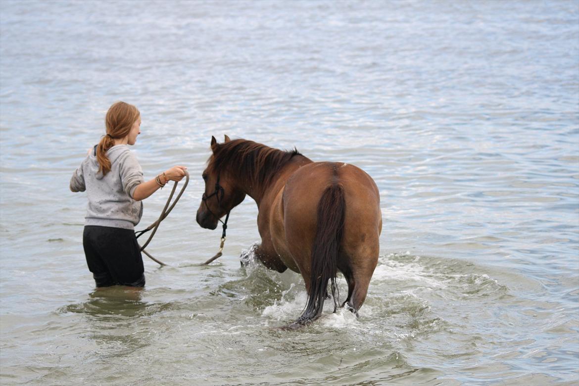 Pyt i Paradis  billede 10