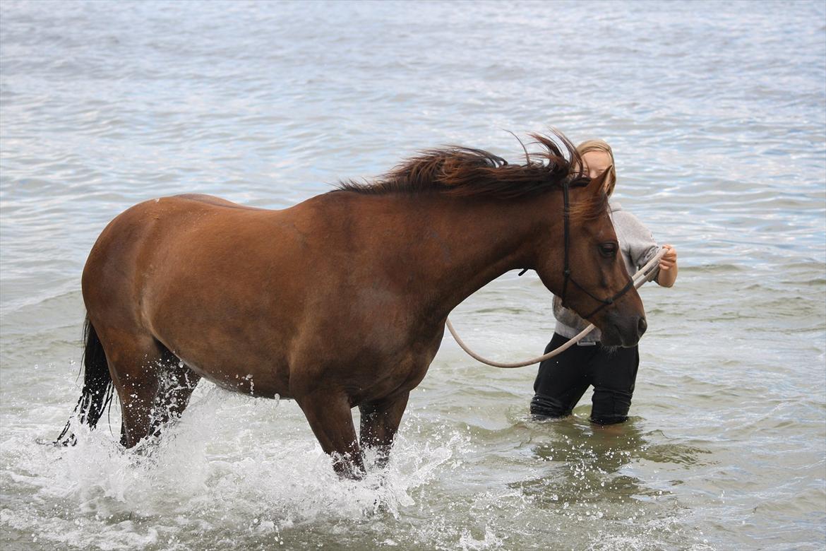 Pyt i Paradis  billede 11