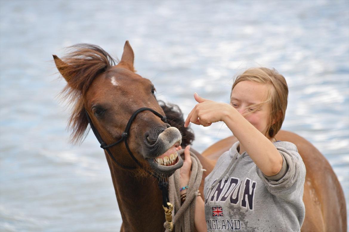 Pyt i Paradis  billede 12