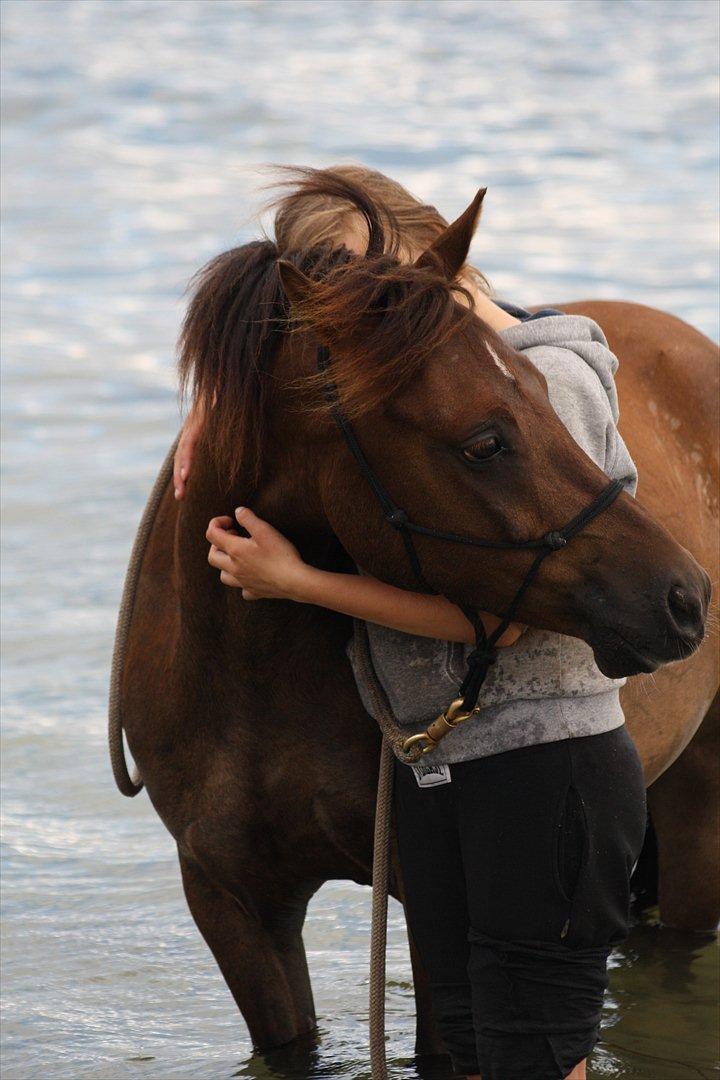 Pyt i Paradis  billede 1