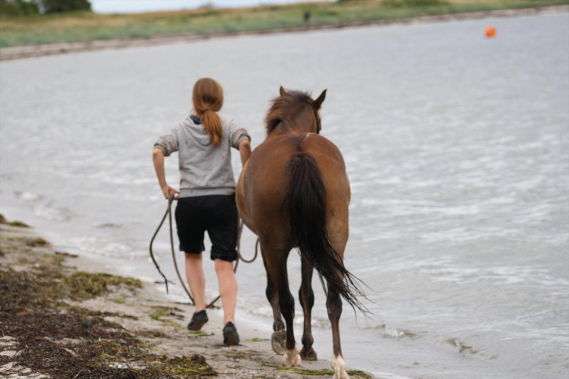 Pyt i Paradis  billede 13