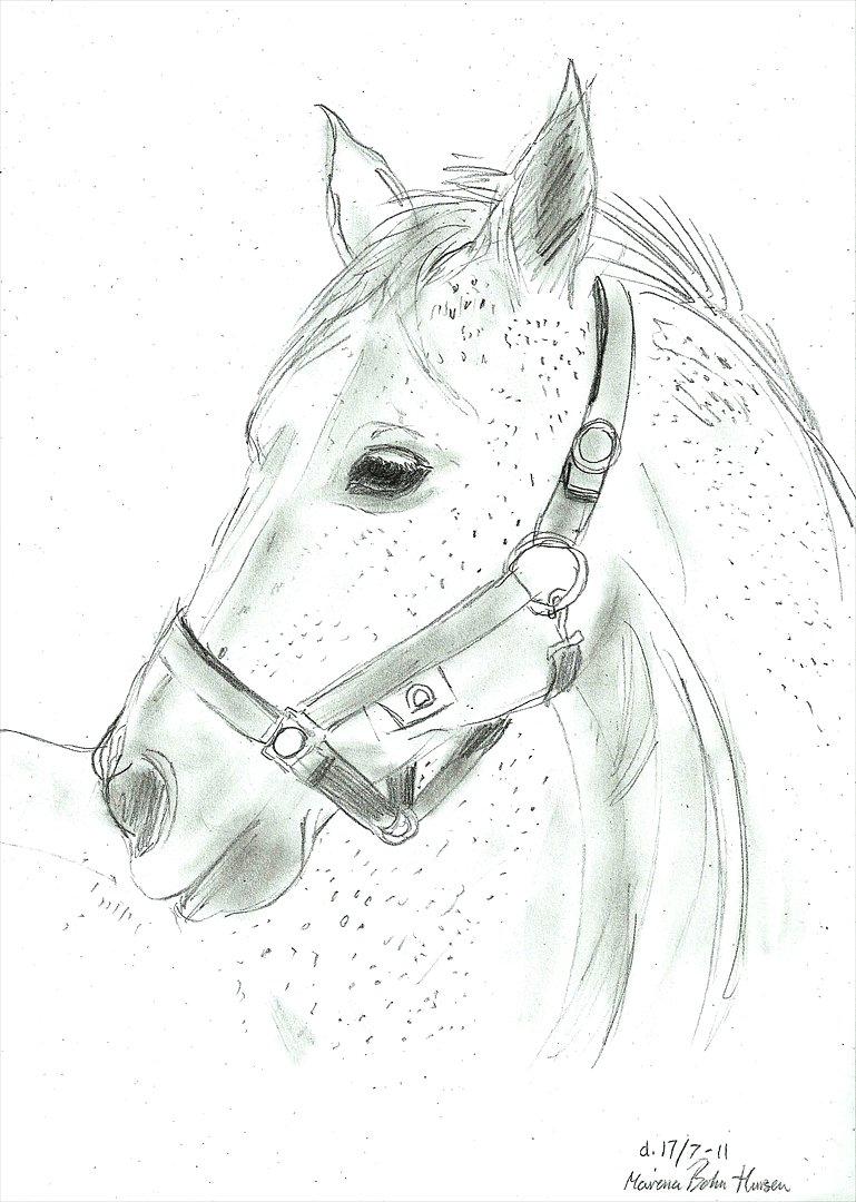 Tegninger :D   - Tegning til (;: naturlig ridning ;: ) HMS ( Zigo og misty <3) :)
Tegnet søndag d. 17. juli 2011 billede 292