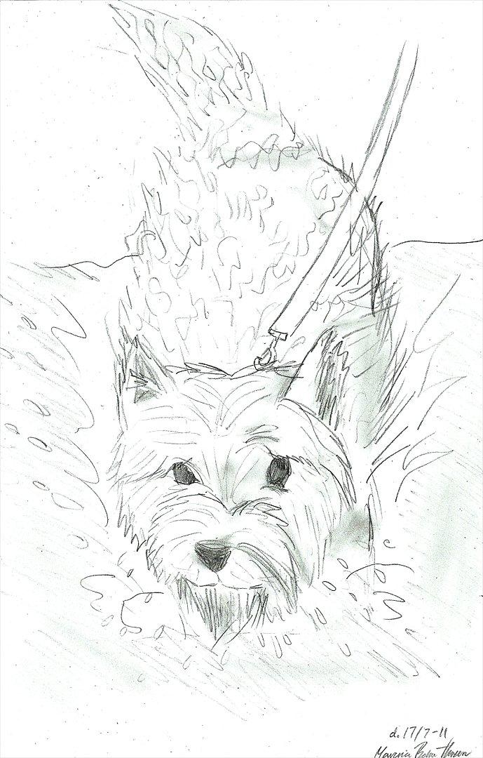 Tegninger :D   - Tegning til Frederikke Felding .
Tegnet søndag d. 17. juli 2011 billede 290