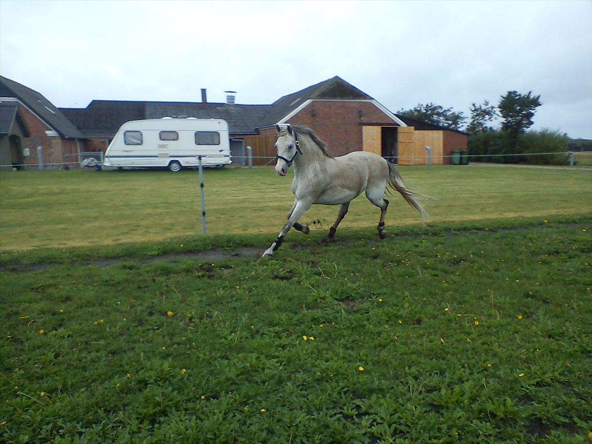 Widoz i alt hvad det indebære:-)  billede 17