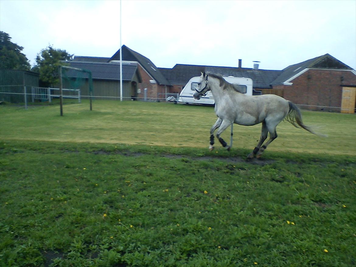 Widoz i alt hvad det indebære:-)  billede 18