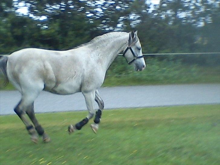 Widoz i alt hvad det indebære:-)  billede 21