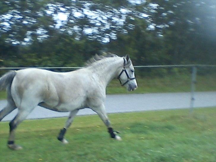 Widoz i alt hvad det indebære:-)  billede 22