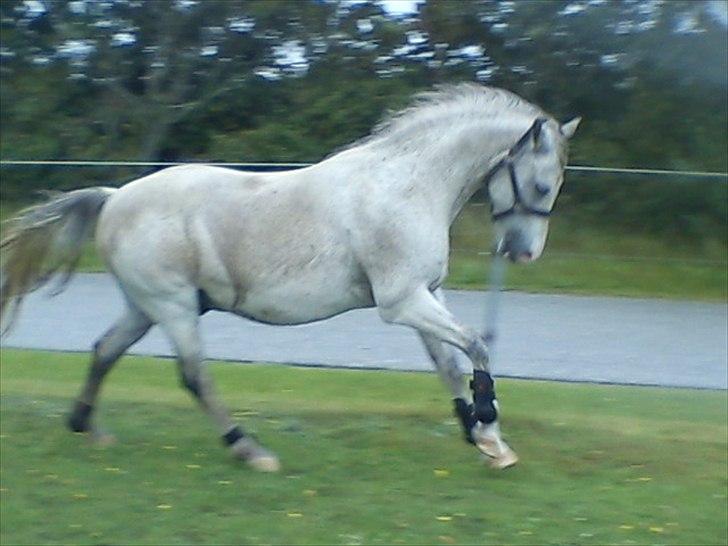 Widoz i alt hvad det indebære:-)  billede 30