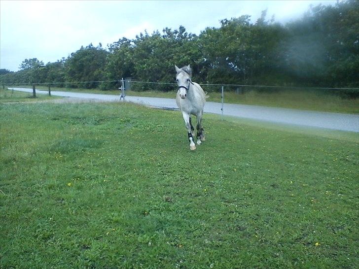 Widoz i alt hvad det indebære:-)  billede 32