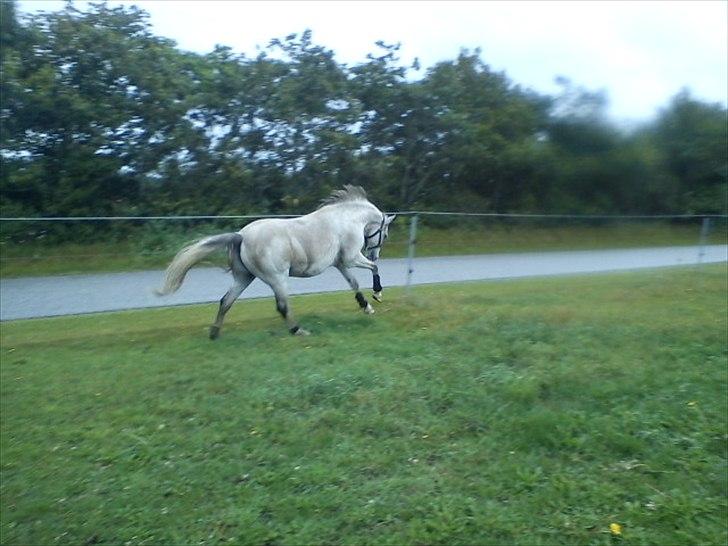 Widoz i alt hvad det indebære:-)  billede 38