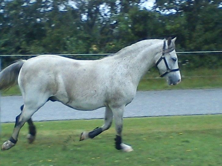 Widoz i alt hvad det indebære:-)  billede 42