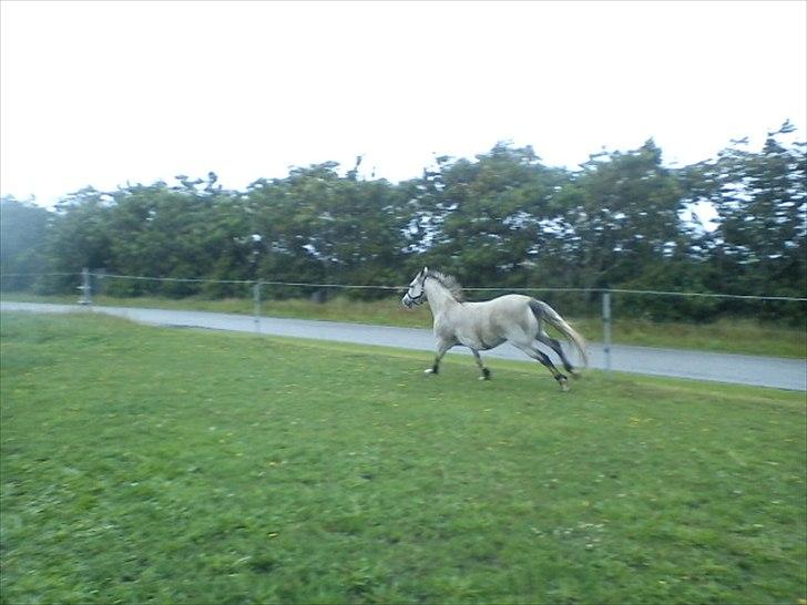 Widoz i alt hvad det indebære:-)  billede 62