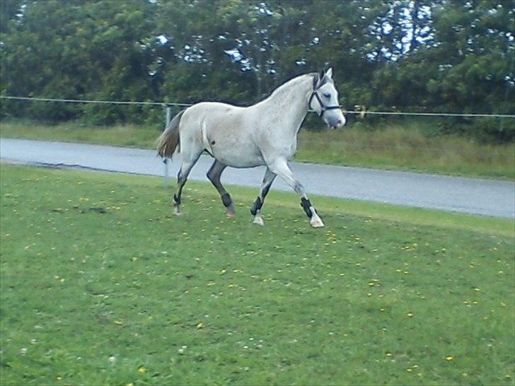 Widoz i alt hvad det indebære:-)  billede 65