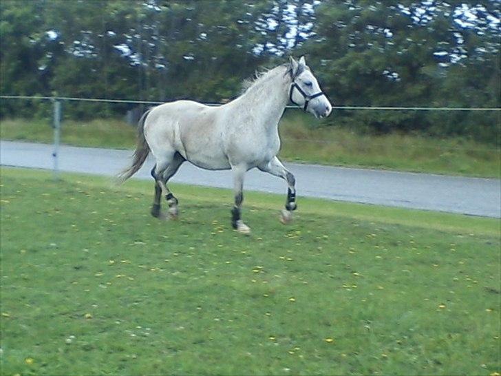 Widoz i alt hvad det indebære:-)  billede 10