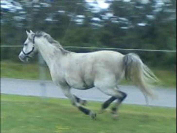 Widoz i alt hvad det indebære:-)  billede 11